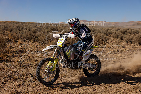IMG_3118-12n