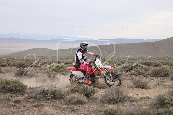 IMG_7890-22b