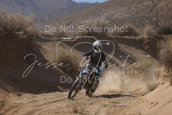 IMG_7242-66j