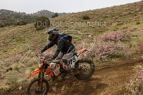 IMG_2285-175
