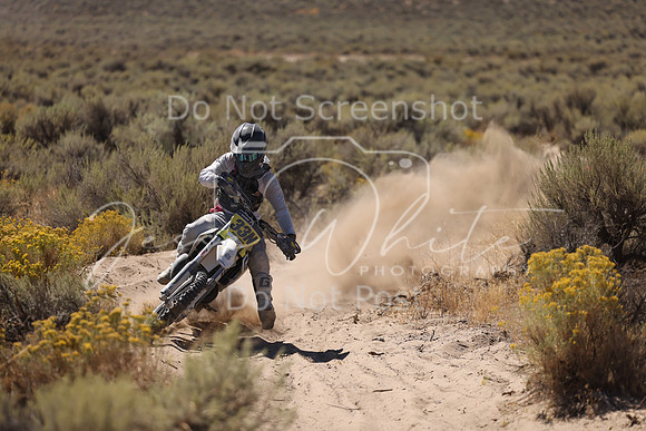 IMG_4116-33n
