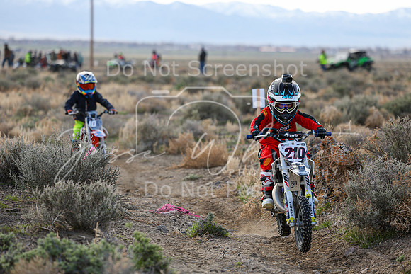 IMG_7289-210z