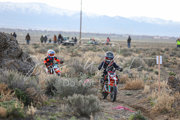 IMG_7301-208z