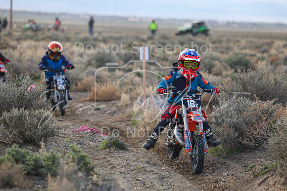 IMG_7308-18z
