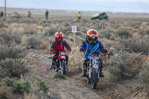 IMG_7311-25z