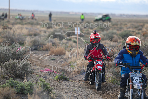 IMG_7313-717z