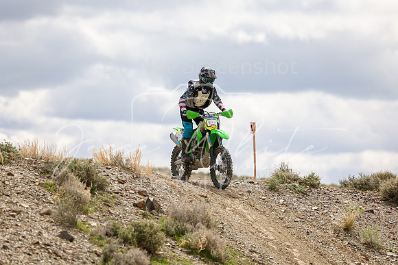 IMG_8126-84v