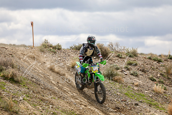 IMG_8128-84v