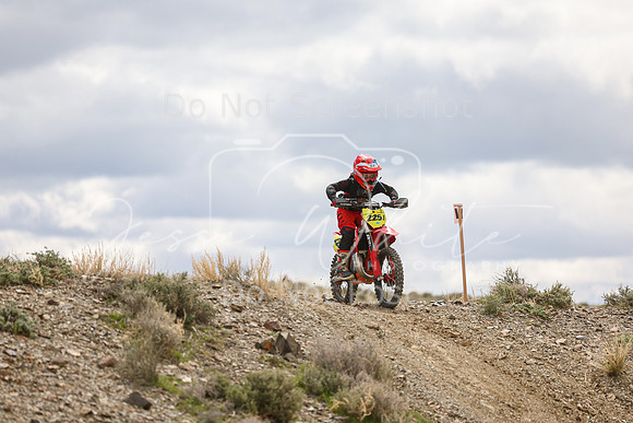 IMG_8159-225j