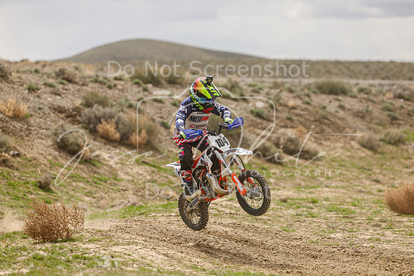 IMG_8156-104y