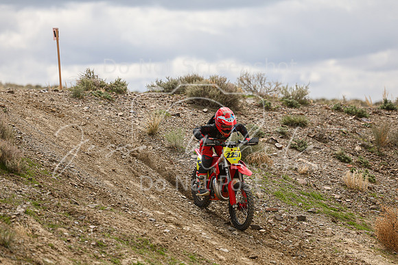 IMG_8160-225j