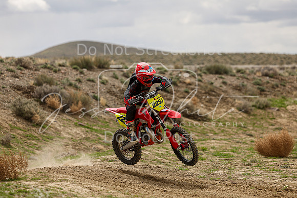 IMG_8162-225j