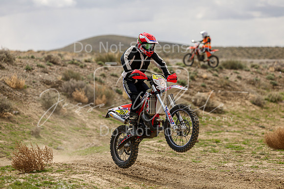 IMG_8177-777v