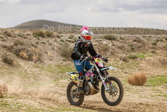 IMG_8196-721v
