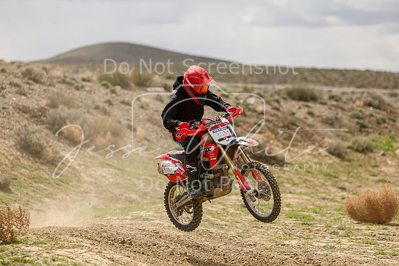 IMG_8201-303j