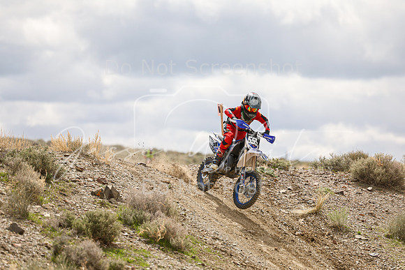 IMG_8204-555j