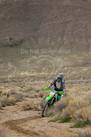 IMG_8587-84v