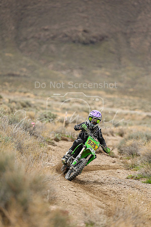 IMG_8599-925j