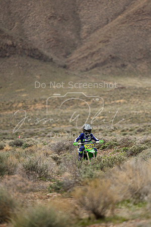 IMG_8615-226j