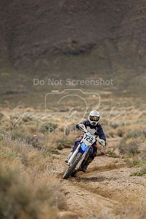 IMG_8624-723v