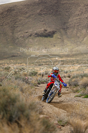 IMG_8639-555j
