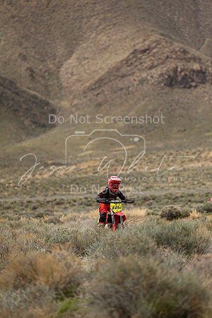 IMG_8646-225j
