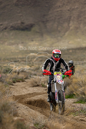 IMG_8676-777v