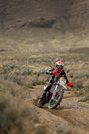 IMG_8674-777v