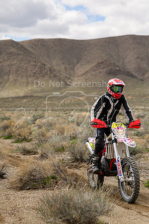 IMG_8679-777v