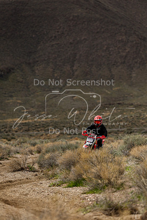 IMG_8705-303j