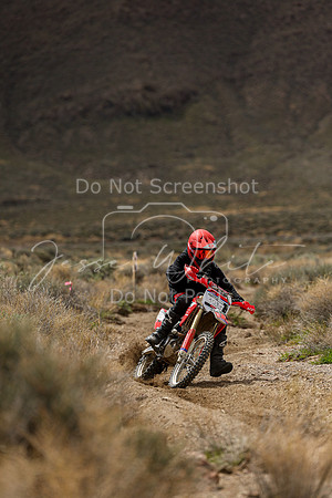 IMG_8707-303j