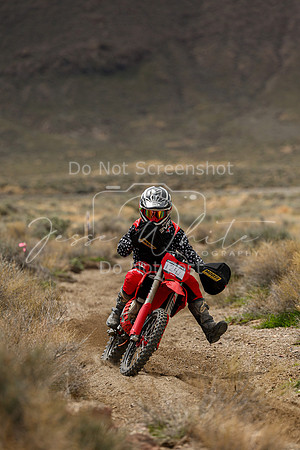 IMG_8740-124j