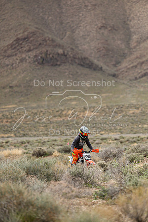 IMG_8754-928y