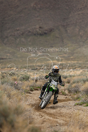 IMG_8758-478v