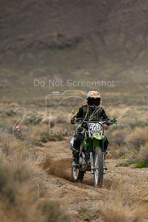 IMG_8761-478v