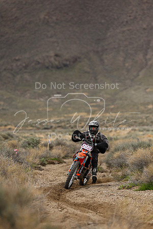 IMG_8765-989v