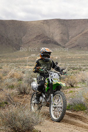 IMG_8763-478v