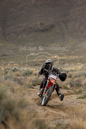 IMG_8768-989v