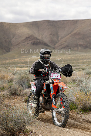 IMG_8773-989v