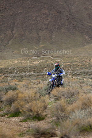 IMG_8784-848v