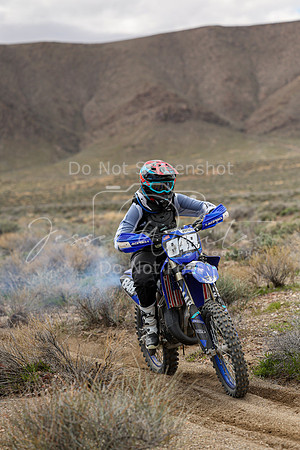 IMG_8790-848v
