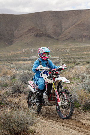 IMG_8797-78v