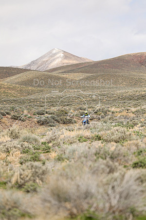 IMG_8804-474v