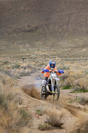 IMG_8825-86j