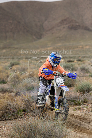 IMG_8828-86j