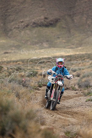 IMG_8793-78v