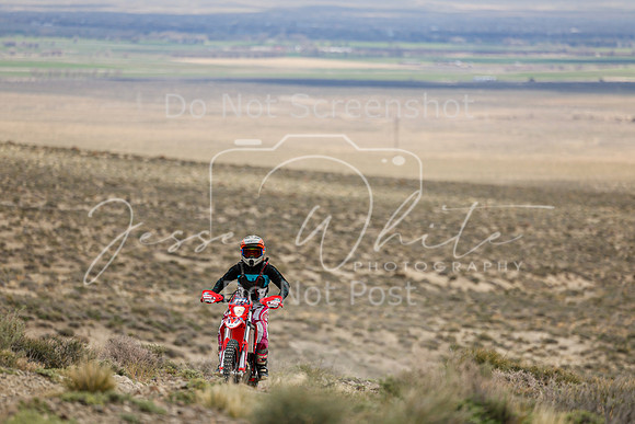 IMG_8852-111v