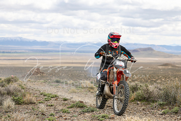 IMG_8918-19v