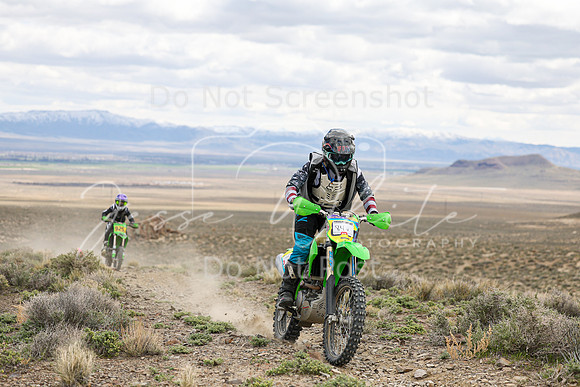 IMG_8924-84v