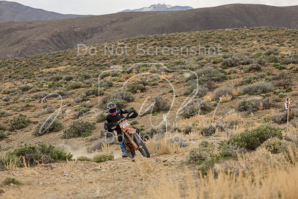 IMG_9872-924n